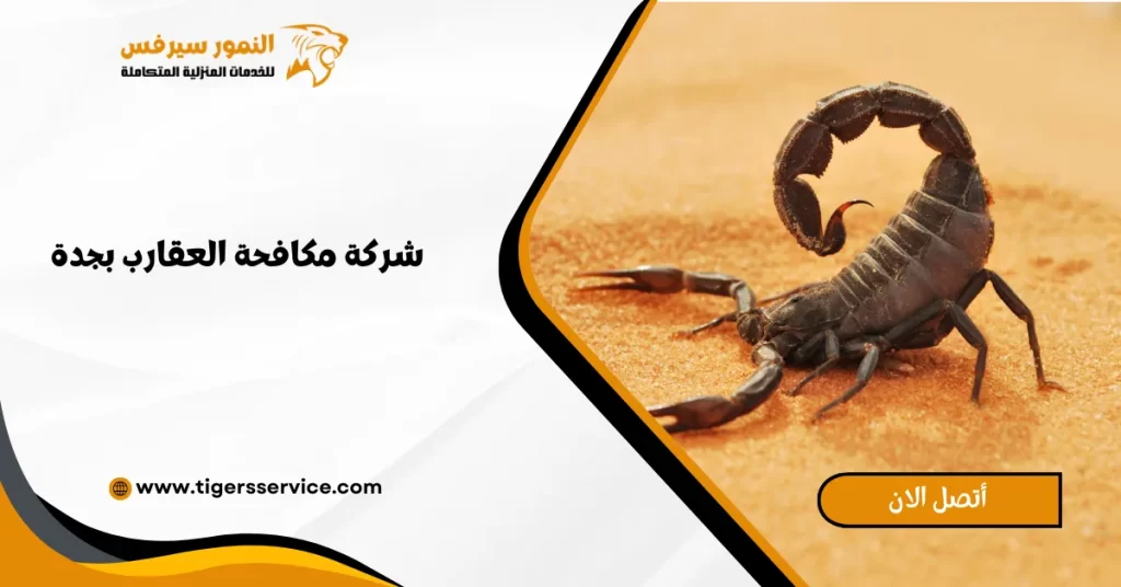 شركة مكافحة العقارب بجدة