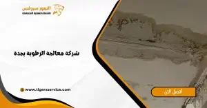 Read more about the article شركة معالجة الرطوبة بجدة