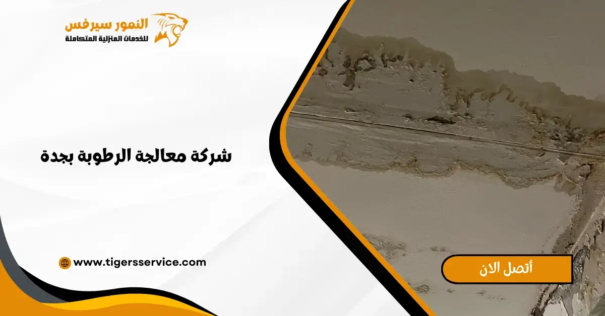 You are currently viewing شركة معالجة الرطوبة بجدة