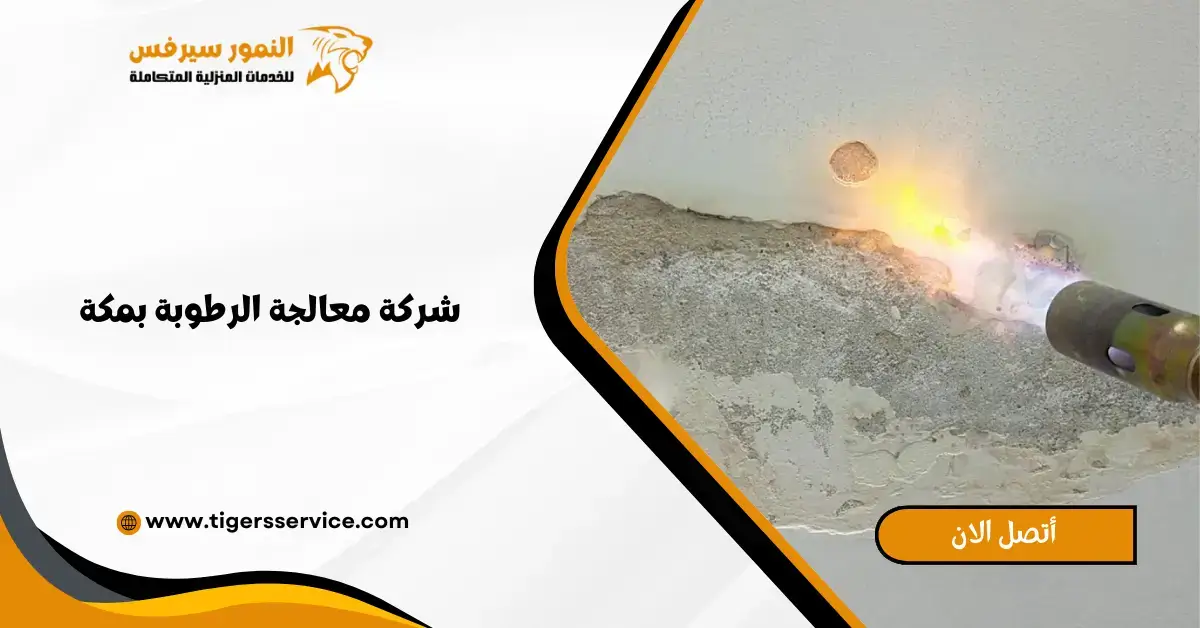 Read more about the article شركة معالجة الرطوبة بمكة