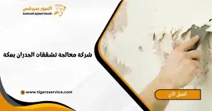 Read more about the article شركة معالجة تشققات الجدران بمكة