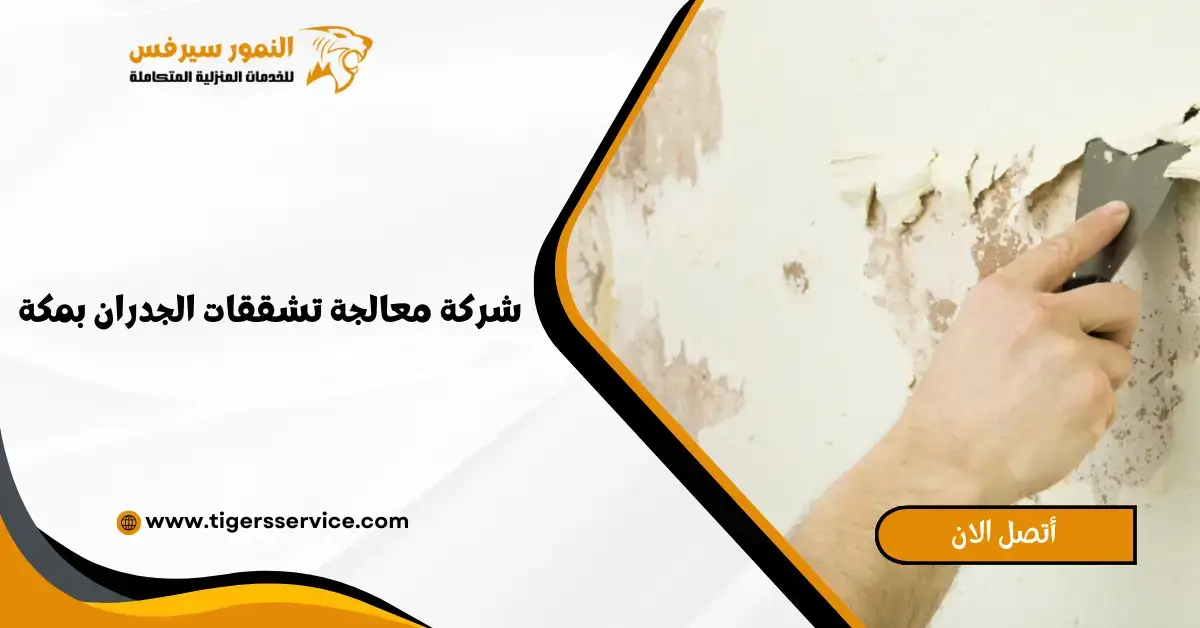 You are currently viewing شركة معالجة تشققات الجدران بمكة